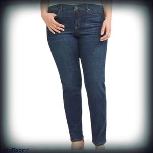 lane bryant pull on jeans